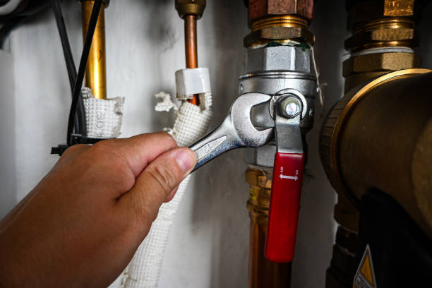 Best Plumbing Inspection Services  in Dauphin, PA